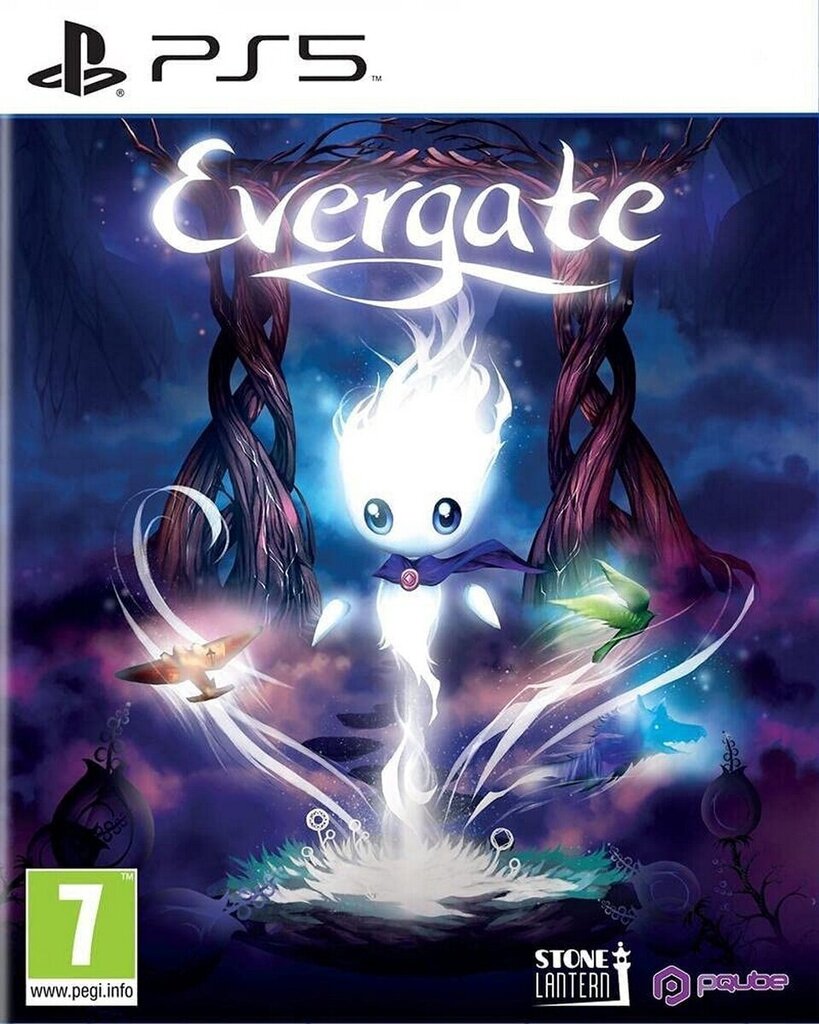 PS5 Evergate cena un informācija | Datorspēles | 220.lv