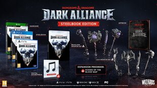 PS5 Dungeons & Dragons: Dark Alliance Steelbook Edition цена и информация | Компьютерные игры | 220.lv