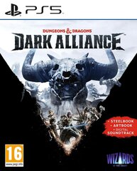 PS5 Dungeons & Dragons: Dark Alliance Steelbook Edition цена и информация | Компьютерные игры | 220.lv