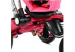 Trīsriteņu velosipēds ar jumtu PRO700, rozā cena un informācija | Trīsriteņi | 220.lv
