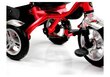Trīsriteņu velosipēds ar jumtu PRO500, sarkans ar melnu rāmi cena un informācija | Trīsriteņi | 220.lv