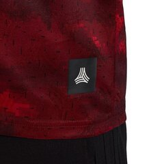 Sporta T-krekls vīriešiem, Adidas Tango AOP s M DZ9537 sarkans cena un informācija | Sporta apģērbs vīriešiem | 220.lv