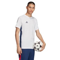 Спортивная футболка мужская, Adidas Tan Tape M FM0854 белый цена и информация | Мужская спортивная одежда | 220.lv