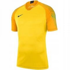 Vīriešu T-krekls Nike M Gardien II GK JSY SS 894512 719, dzeltens cena un informācija | Sporta apģērbs vīriešiem | 220.lv