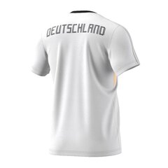 Спортивная футболка мужская adidas DFB Ci TEE M CF1734 цена и информация | Мужская спортивная одежда | 220.lv