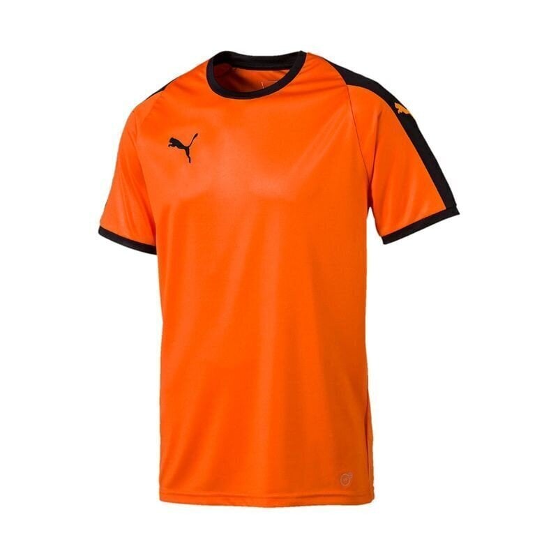 Vīriešu sporta krekls Puma LIGA M 703417 08, 48078 цена и информация | Sporta apģērbs vīriešiem | 220.lv