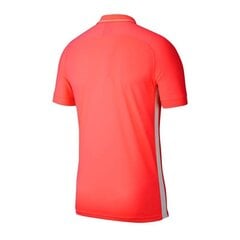 Мужская спортивная футболка Nike Dry Academy 19 Polo M BQ1496-671, 48222 цена и информация | Мужская спортивная одежда | 220.lv