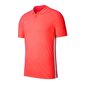 Sporta T-krekls vīriešiem Nike Dry Academy 19 Polo M BQ1496-671, 48222 цена и информация | Sporta apģērbs vīriešiem | 220.lv