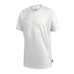 Sporta T-krekls vīriešiem Adidas Tango Terry M CG1827, balts/pelēks cena un informācija | Sporta apģērbs vīriešiem | 220.lv