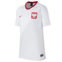 Nike рубашка спортивная мужская Poland Breathe Top Home Jr 894013 100, белая цена и информация | Мужская спортивная одежда | 220.lv