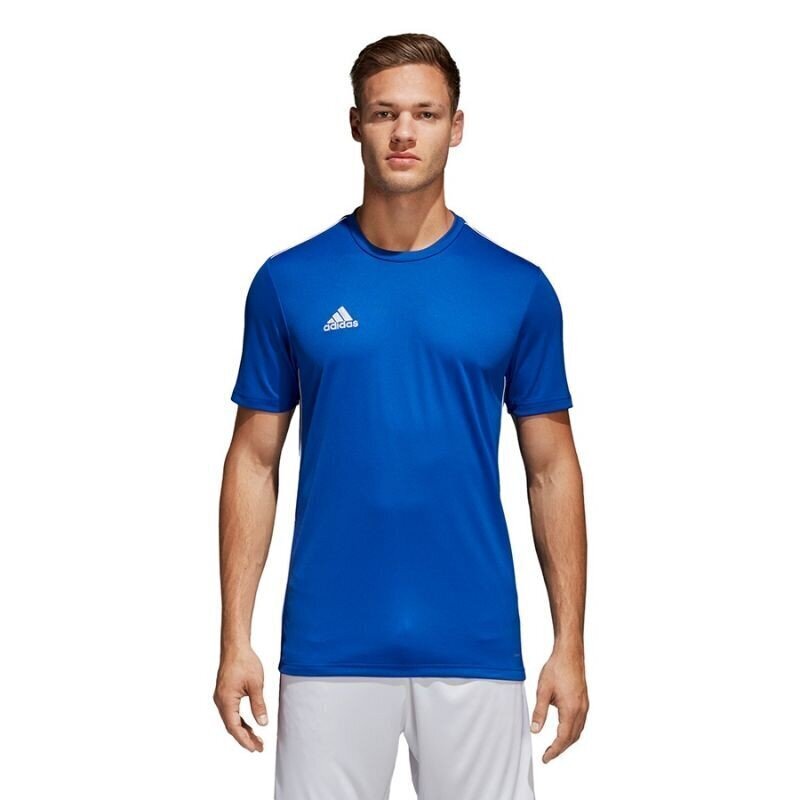 Vīriešu T krekls Adidas Core 18 Tee, zils цена и информация | Sporta apģērbs vīriešiem | 220.lv