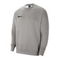 Sportisks džemperis vīriešiem Nike Park 20 Crew Fleece M CW6902-063, pelēks cena un informācija | Vīriešu jakas | 220.lv