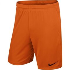 Спортивные шорты для мальчиков Nike Park II Junior 725988-815 цена и информация | Шорты для мальчиков | 220.lv