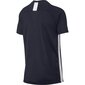 Bērnu sporta T-krekls Nike B Dry Academy SS Junior AO0739- 451 (46439) цена и информация | Zēnu krekli | 220.lv