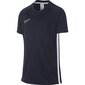 Bērnu sporta T-krekls Nike B Dry Academy SS Junior AO0739- 451 (46439) cena un informācija | Zēnu krekli | 220.lv