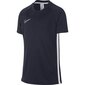 Bērnu sporta T-krekls Nike B Dry Academy SS Junior AO0739- 451 (46439) цена и информация | Zēnu krekli | 220.lv