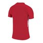 Sporta T-krekls zēniem Nike JR Tiempo Prem Jr 894111-657 cena un informācija | Zēnu krekli | 220.lv