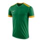 Sporta T-krekls zēniem Nike Dry Park Derby II Jr 894116-302, 47777 cena un informācija | Zēnu krekli | 220.lv