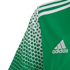 Sporta T-krekls zēniem Adidas Regista 20 Jr FI4567, 53248 цена и информация | Рубашки для мальчиков | 220.lv