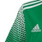 Sporta T-krekls zēniem Adidas Regista 20 Jr FI4567, 53248 цена и информация | Zēnu krekli | 220.lv