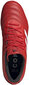 Futbola apavi Adidas Copa 20.3Fg, sarkani cena un informācija | Futbola apavi | 220.lv