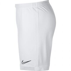 Nike шорты мужские Dry Academy M AJ9994-101, белые цена и информация | Мужские шорты | 220.lv
