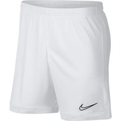 Nike шорты мужские Dry Academy M AJ9994-101, белые цена и информация | Мужские шорты | 220.lv