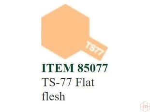 Распыляемая краска Tamiya TS-77 Flat flesh, 100 ml цена и информация | Принадлежности для рисования, лепки | 220.lv