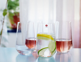 Iittala Essence universāla glāze 55 cl, 2 gab. cena un informācija | Glāzes, krūzes, karafes | 220.lv