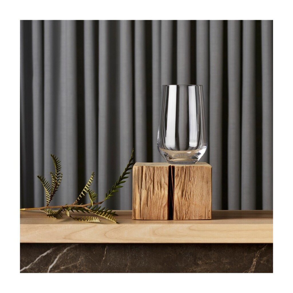 Iittala Essence universāla glāze 55 cl, 2 gab. cena un informācija | Glāzes, krūzes, karafes | 220.lv