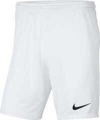 Vīriešu šorti Nike BV6855 100, balti цена и информация | Мужские шорты | 220.lv