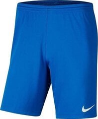 Vīriešu šorti Nike BV6855 463, zili цена и информация | Мужские шорты | 220.lv