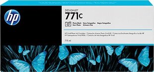 HP B6Y13A цена и информация | Картриджи для струйных принтеров | 220.lv