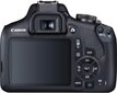 Canon EOS 2000D цена и информация | Digitālās fotokameras | 220.lv