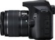 Canon EOS 2000D цена и информация | Digitālās fotokameras | 220.lv