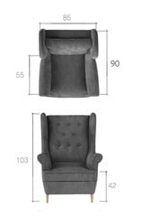 Кресло «Арос-Монолит» цена и информация | Кресла в гостиную | 220.lv