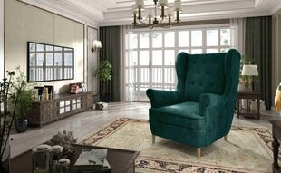 Кресло «Арос-Монолит» цена и информация | Кресла в гостиную | 220.lv