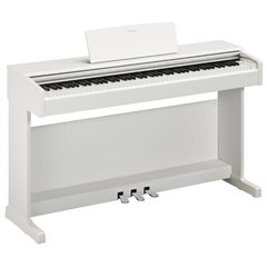 Yamaha Arius YDP-144WH digitālās klavieres (baltas) cena un informācija | Taustiņinstrumenti | 220.lv