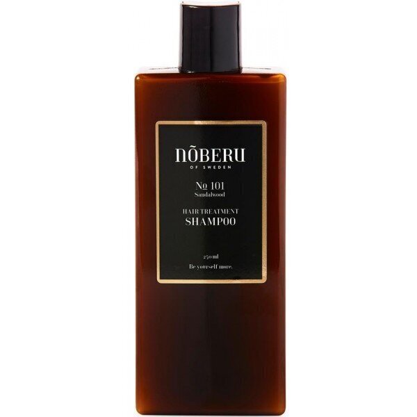 Barojošs šampūns biežai lietošanai vīriešiem Noberu No 101 Hair Treatment, 250 ml цена и информация | Šampūni | 220.lv