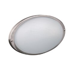 Настенный наружный светильник G.LUX GH-363-SS цена и информация | Уличное освещение | 220.lv