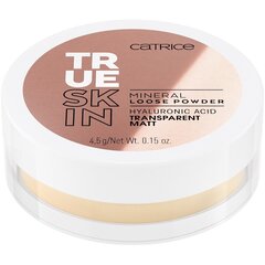 Сыпучая минеральная пудра Catrice True Skin 4.5 г, 010 Transparent Mat цена и информация | Пудры, базы под макияж | 220.lv