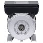vidaXL - vienfāzes elektromotors, 1,5 kW / 2 ZS, 2 polu, 2800 apgr./min. cena un informācija | Elektrības ģeneratori | 220.lv