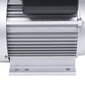 vidaXL - vienfāzes elektromotors, 1,5 kW / 2 ZS, 2 polu, 2800 apgr./min. cena un informācija | Elektrības ģeneratori | 220.lv