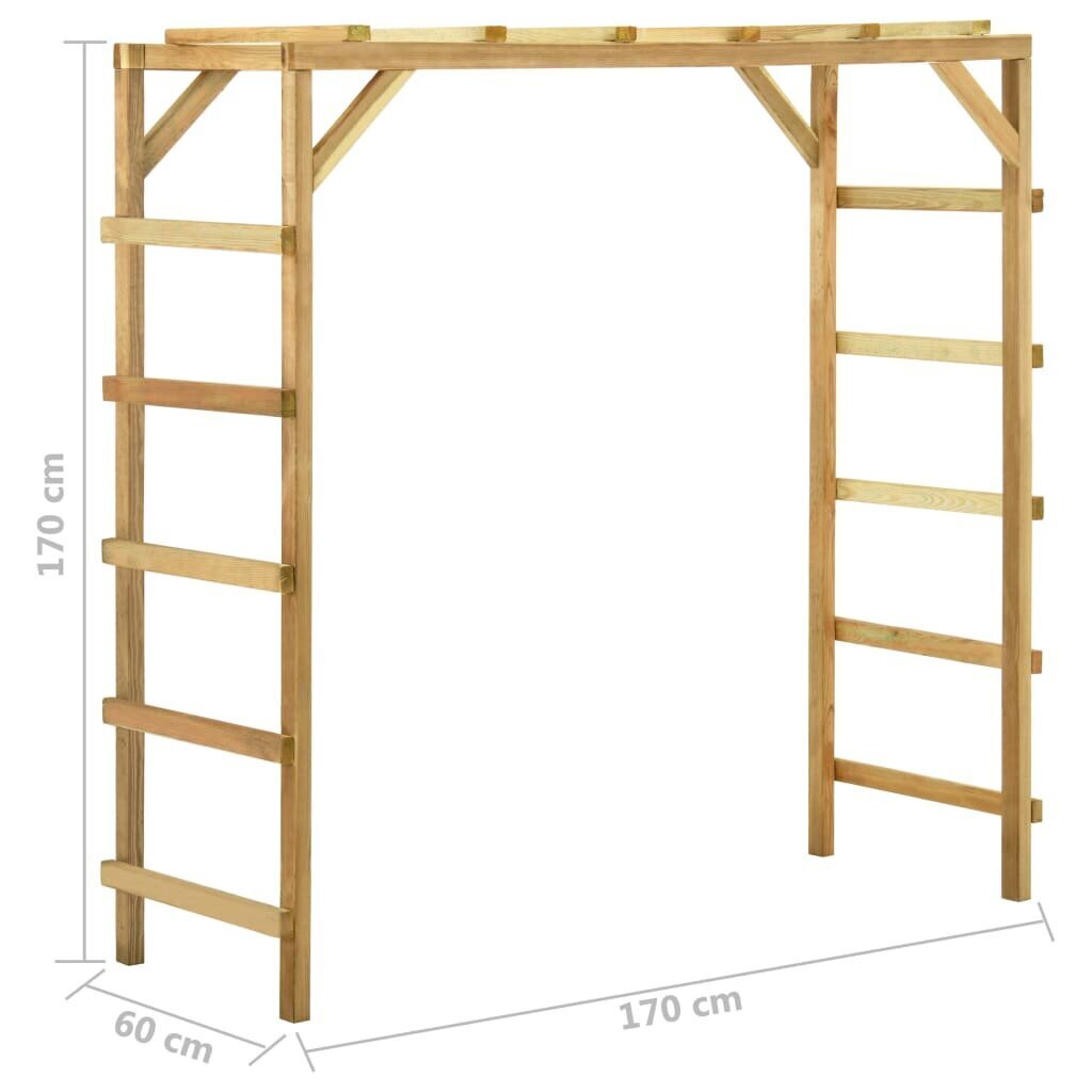 vidaXL Lauko laipiojimo sienelė, 170x60x170cm, pušies medienos masyvas cena un informācija | Slidkalniņi, kāpšanas konstruktori | 220.lv