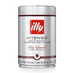 Illy Intenso kafijas pupiņas, 0,25 kg цена и информация | Кофе, какао | 220.lv