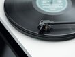 Pro-Ject Primary E Phono cena un informācija | Plašu atskaņotāji | 220.lv