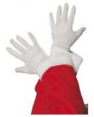 Перчатки Санта-Клауса цена и информация | Карнавальные костюмы, парики и маски | 220.lv