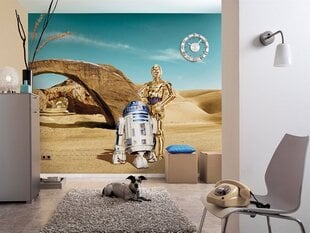 Star Wars Lost Droids цена и информация | Фотообои | 220.lv