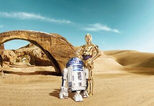 Star Wars Lost Droids cena un informācija | Fototapetes | 220.lv