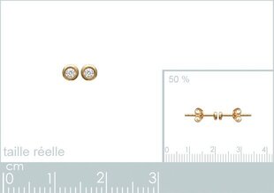 Серьги с золотым покрытием 750°, 2 мм, произведено во Франции цена и информация | Серьги | 220.lv